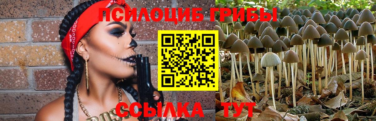 Назарово  хочу   Вход с VPN  Псилоцибиновые грибы мицелий 